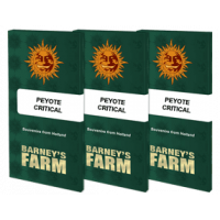 Peyote Critical Barney's Farm - 3 Graines