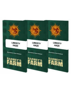 Liberty Haze Barney's Farm - 5 Graines