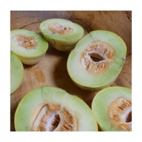 Melon Brodé Jenny Lind