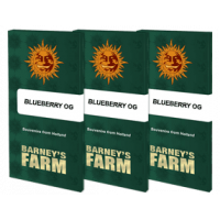 Blueberry OG Barney's farm- 3 Graines