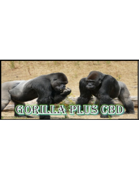 Gorilla Plus CBD