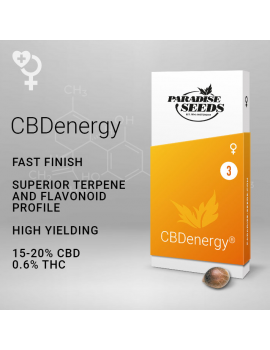 CBDenergy