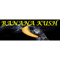 Banana Kush Hydro CBD zen et graines