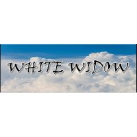 White widow CBD zen et graines