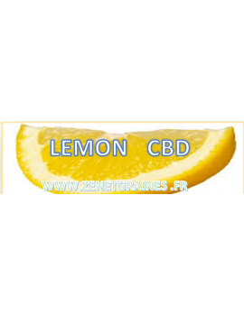 design lemon cbd zen et graines