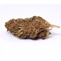 Orange cannabis CBD zen et graines