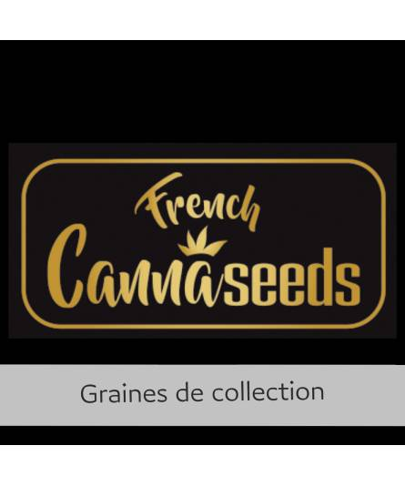 French Cannaseeds